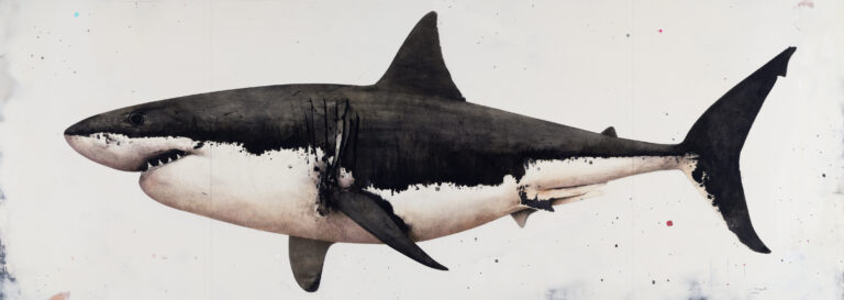 DM White Shark 2020 121x292 cm Etching ed. 255PA Print with Chine Colle on Zerkall Butten paper Pigment Gallery Galería de Arte en Barcelona White Shark
