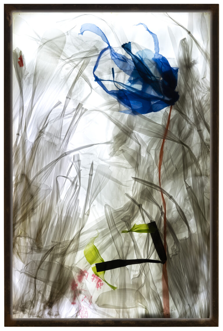 MPL 06 Hangzhou. La collita de Lotos The Lotus harvest 2016 100x70x5 cm Iron plastic glass led light plastic bags Pigment Gallery Galería de Arte en Barcelona Obras
