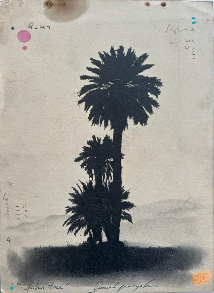 DM_Palmera III_2023_26,5×18,5 cm_Graphite, ink and color pencils on paper